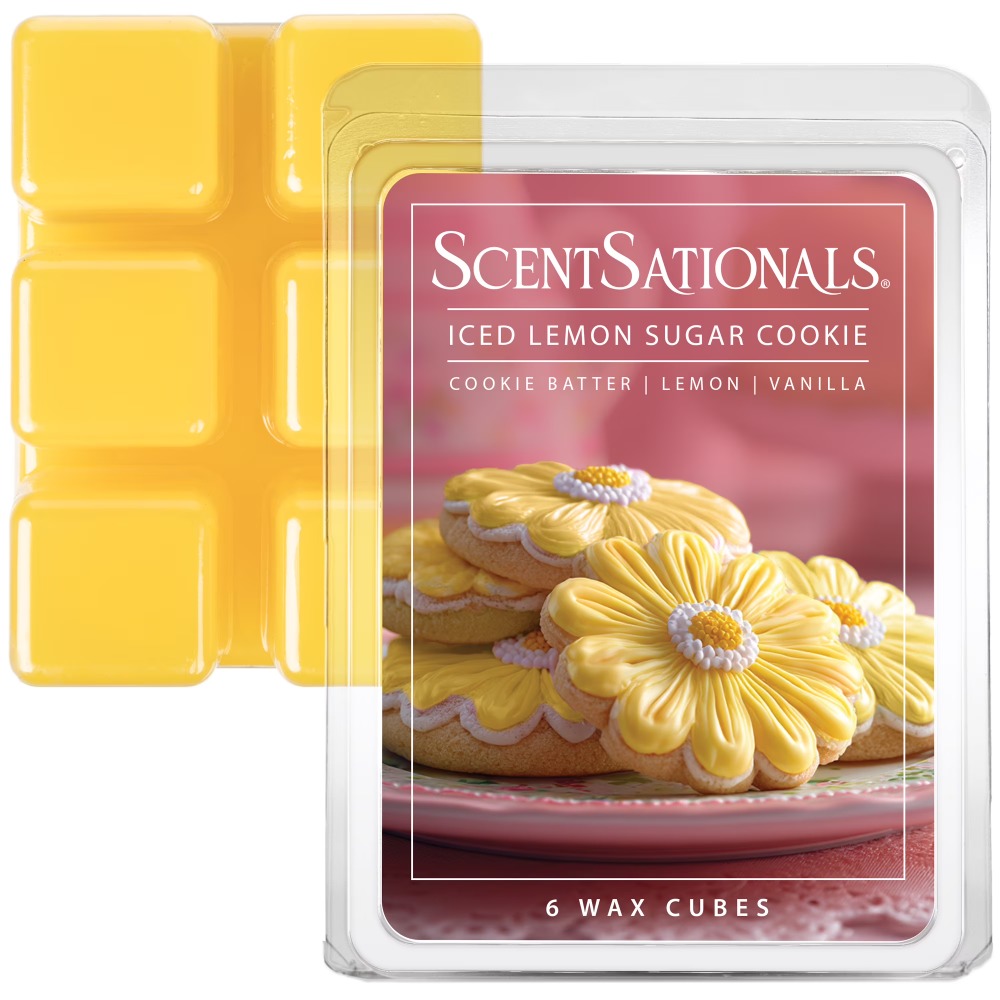 Geurende wax melts met ijskoud - Home Fragrance Wax Melts recensie en prijs